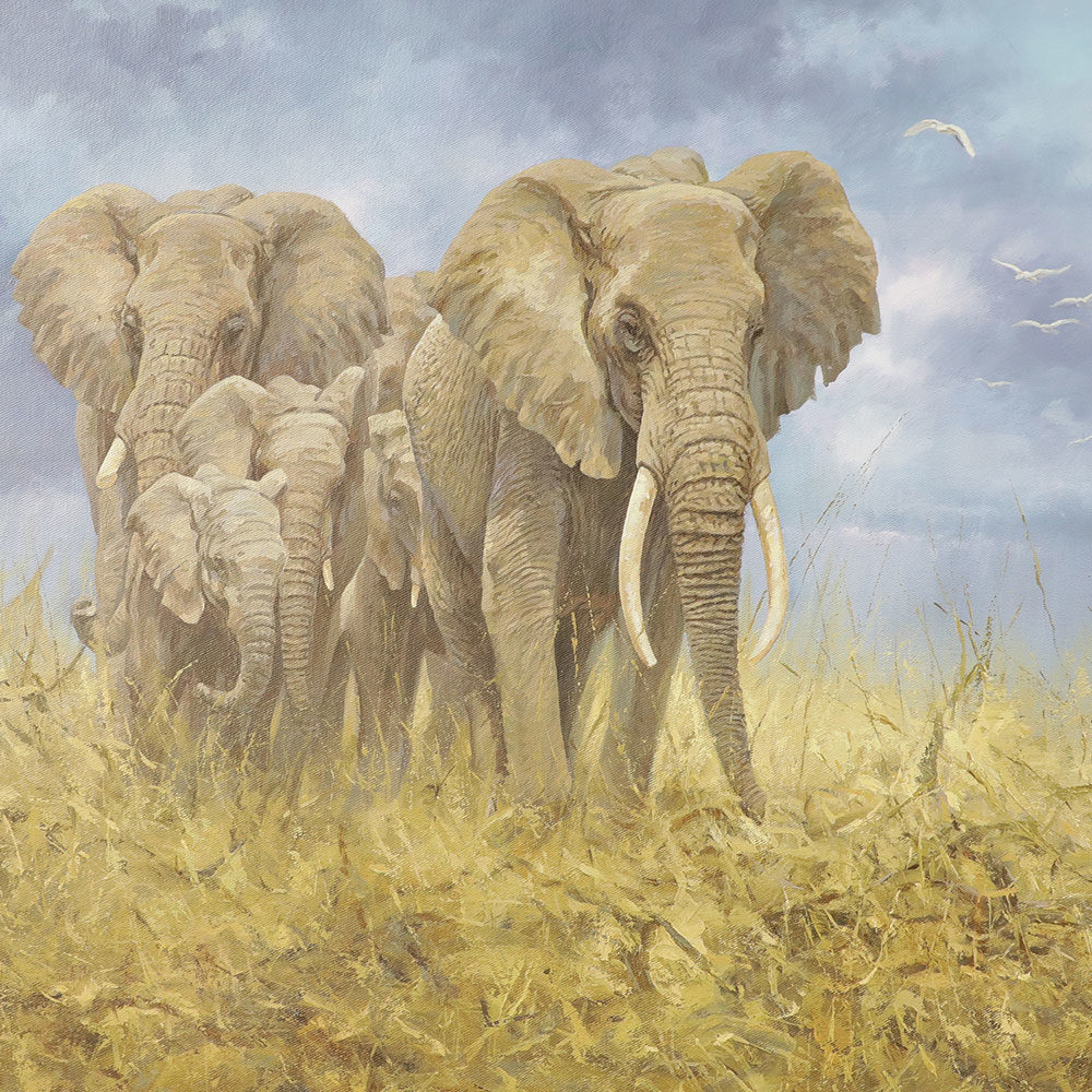 Peinture à huile d’éléphant OC 009